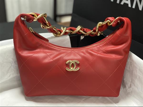 2026131204549293 850